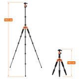 Tripod | Carbon | Compact Traveler No. 1
