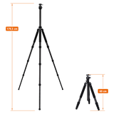 Rock Solid Beta Mark III - Carbon Tripod