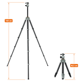 Lion Rock Traveler Pro including tripod head