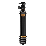 Lion Rock Traveler Pro Black-Edition
