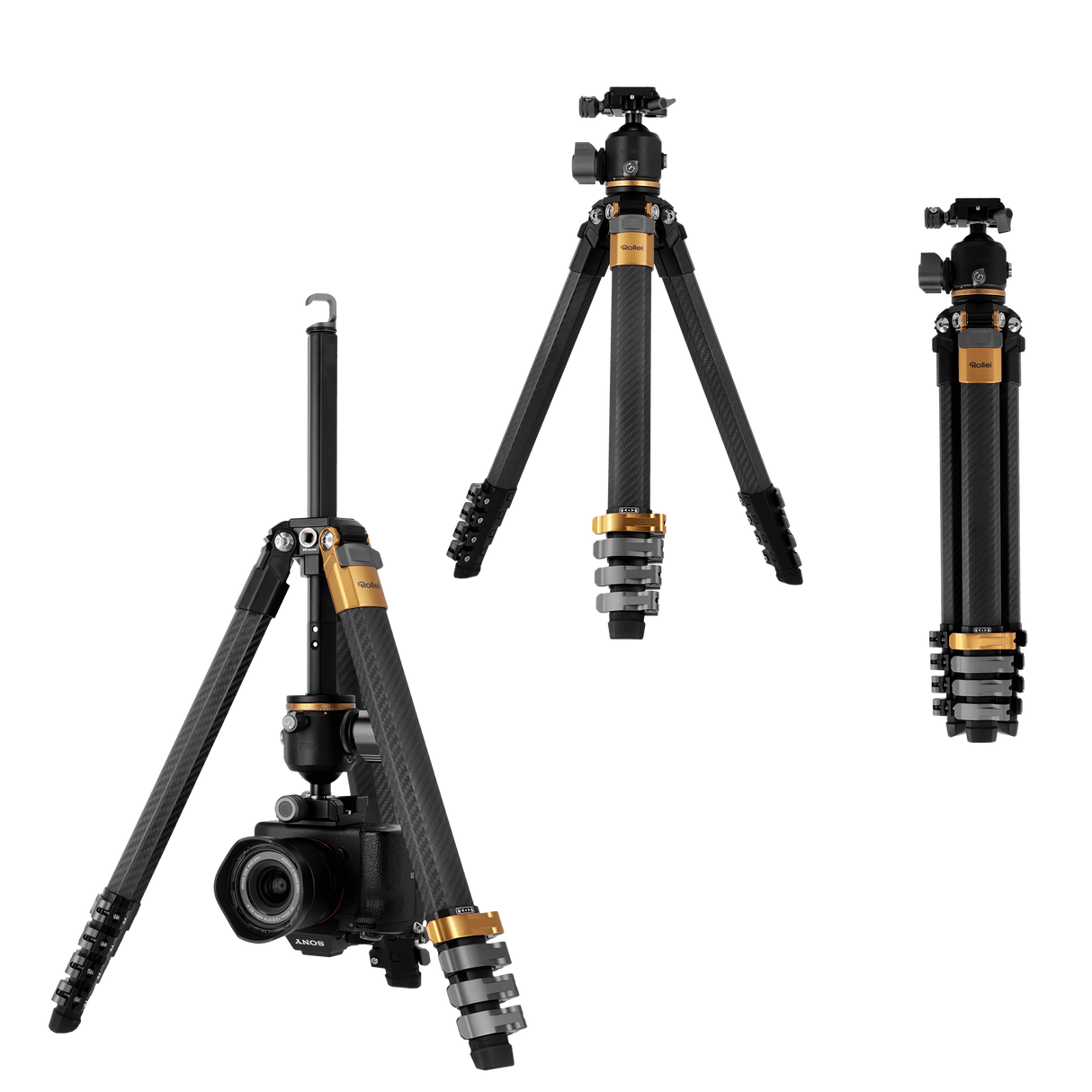Lion Rock Traveler Pro Black-Edition