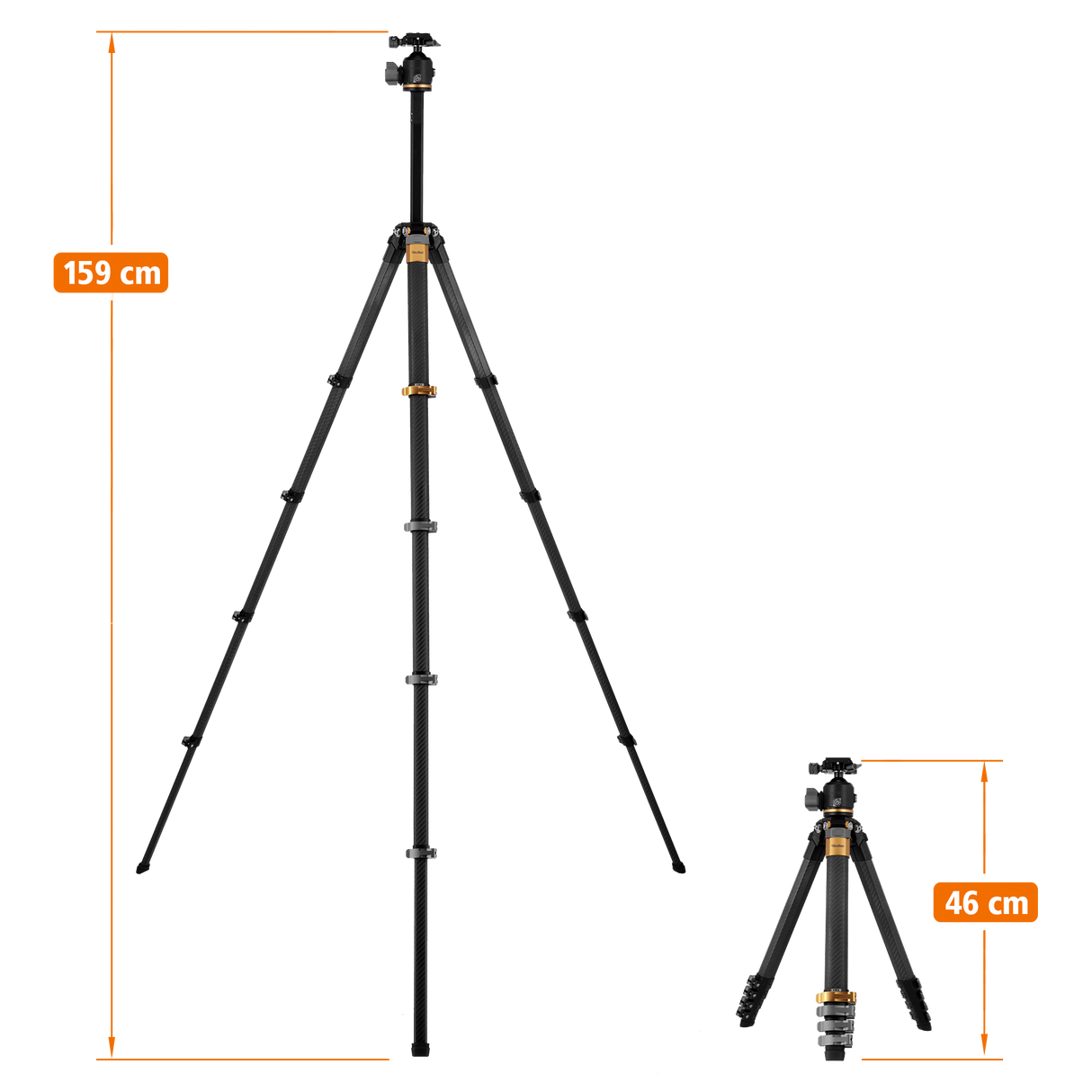 Lion Rock Traveler Pro Black-Edition