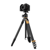 Lion Rock Traveler Pro Black-Edition